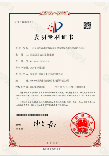 听肌研发专利证书 2